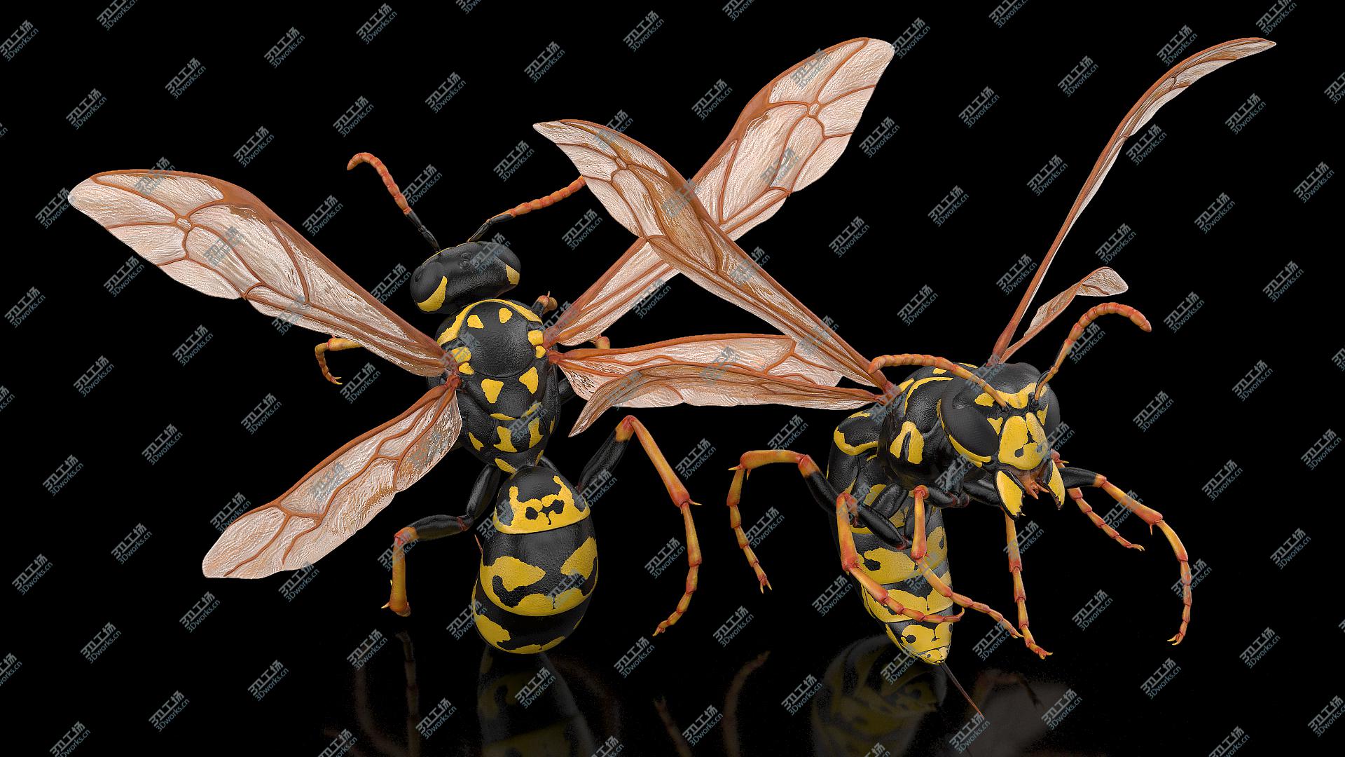 images/goods_img/202104093/Wasp Attacking Pose 3D model/4.jpg